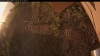 Web Cam Image - Sat, 09/13/2025 5:44am PDT