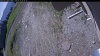 Web Cam Image - Sun, 05/31/2026 9:14am PDT