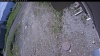 Web Cam Image - Fri, 06/12/2026 9:49am PDT