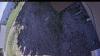 Web Cam Image - Fri, 06/12/2026 2:59pm PDT