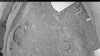 Web Cam Image - Mon, 06/15/2026 7:49pm PDT