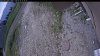 Web Cam Image - Tue, 06/16/2026 10:19am PDT