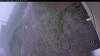 Web Cam Image - Fri, 06/26/2026 2:34pm PDT