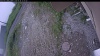 Web Cam Image - Sun, 06/28/2026 10:29am PDT