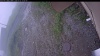 Web Cam Image - Thu, 07/02/2026 11:39am PDT