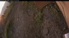 Web Cam Image - Sat, 09/13/2025 5:39am PDT