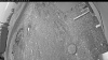 Web Cam Image - Fri, 05/08/2026 4:59am PDT