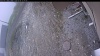 Web Cam Image - Fri, 05/08/2026 11:04am PDT