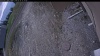 Web Cam Image - Sun, 05/10/2026 10:24am PDT