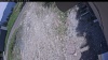 Web Cam Image - Mon, 06/01/2026 11:54am PDT