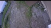 Web Cam Image - Fri, 07/03/2026 2:39pm PDT