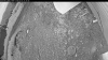 Web Cam Image - Fri, 07/03/2026 8:24pm PDT