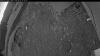 Web Cam Image - Mon, 06/08/2026 3:59am PDT