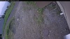 Web Cam Image - Mon, 06/08/2026 10:54am PDT