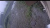 Web Cam Image - Fri, 07/03/2026 8:14am PDT