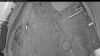 Web Cam Image - Fri, 05/08/2026 4:49am PDT