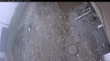 Web Cam Image - Fri, 05/08/2026 10:54am PDT