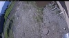 Web Cam Image - Tue, 06/02/2026 8:09am PDT