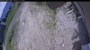 Web Cam Image - Sat, 06/13/2026 11:19am PDT
