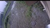 Web Cam Image - Fri, 07/03/2026 8:09am PDT