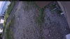 Web Cam Image - Tue, 07/07/2026 6:49pm PDT