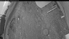 Web Cam Image - Fri, 05/08/2026 4:44am PDT