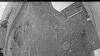 Web Cam Image - Thu, 05/21/2026 7:49pm PDT