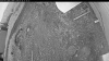 Web Cam Image - Sat, 05/30/2026 8:29pm PDT