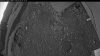 Web Cam Image - Mon, 06/08/2026 3:49am PDT