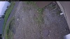 Web Cam Image - Mon, 06/08/2026 10:44am PDT