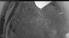 Web Cam Image - Tue, 06/09/2026 8:04pm PDT