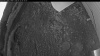 Web Cam Image - Sat, 06/13/2026 3:09am PDT