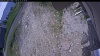 Web Cam Image - Sat, 06/13/2026 11:14am PDT