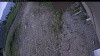 Web Cam Image - Tue, 06/16/2026 9:59am PDT