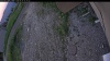 Web Cam Image - Thu, 06/18/2026 6:04pm PDT