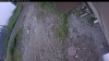 Web Cam Image - Tue, 06/30/2026 9:54am PDT