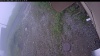 Web Cam Image - Thu, 07/02/2026 11:19am PDT