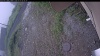 Web Cam Image - Fri, 07/03/2026 8:04am PDT