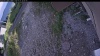 Web Cam Image - Tue, 07/07/2026 6:44pm PDT