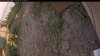 Web Cam Image - Mon, 09/01/2025 10:54am PDT