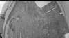 Web Cam Image - Sat, 05/30/2026 8:24pm PDT