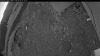 Web Cam Image - Mon, 06/08/2026 3:44am PDT