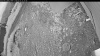 Web Cam Image - Fri, 07/03/2026 8:04pm PDT