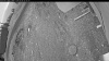 Web Cam Image - Fri, 05/08/2026 4:34am PDT