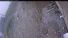 Web Cam Image - Wed, 05/13/2026 1:19pm PDT