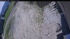 Web Cam Image - Mon, 06/01/2026 11:29am PDT