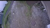 Web Cam Image - Sat, 06/06/2026 11:14am PDT