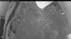 Web Cam Image - Tue, 06/09/2026 7:54pm PDT