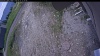 Web Cam Image - Sat, 06/13/2026 11:04am PDT