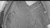 Web Cam Image - Fri, 05/08/2026 4:29am PDT